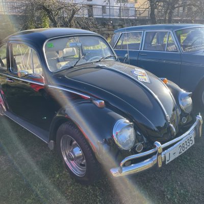 IMG_7065 Large.jpeg