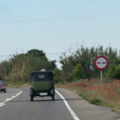 IMG_3587 Large.jpeg