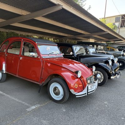 IMG_3619 Large.jpeg