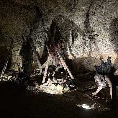 IMG_3740 Large.jpeg