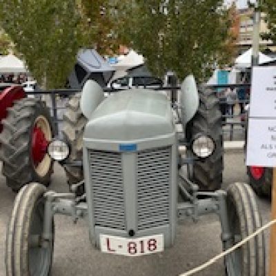 IMG_8455.jpg