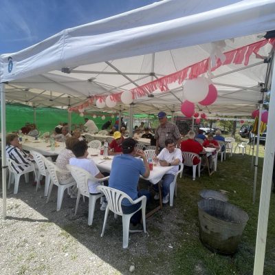 IMG_0365 Large.jpeg